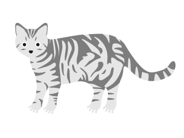 岐阜大学付属動物病院様