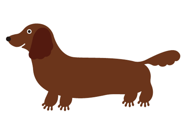 岐阜大学付属動物病院様