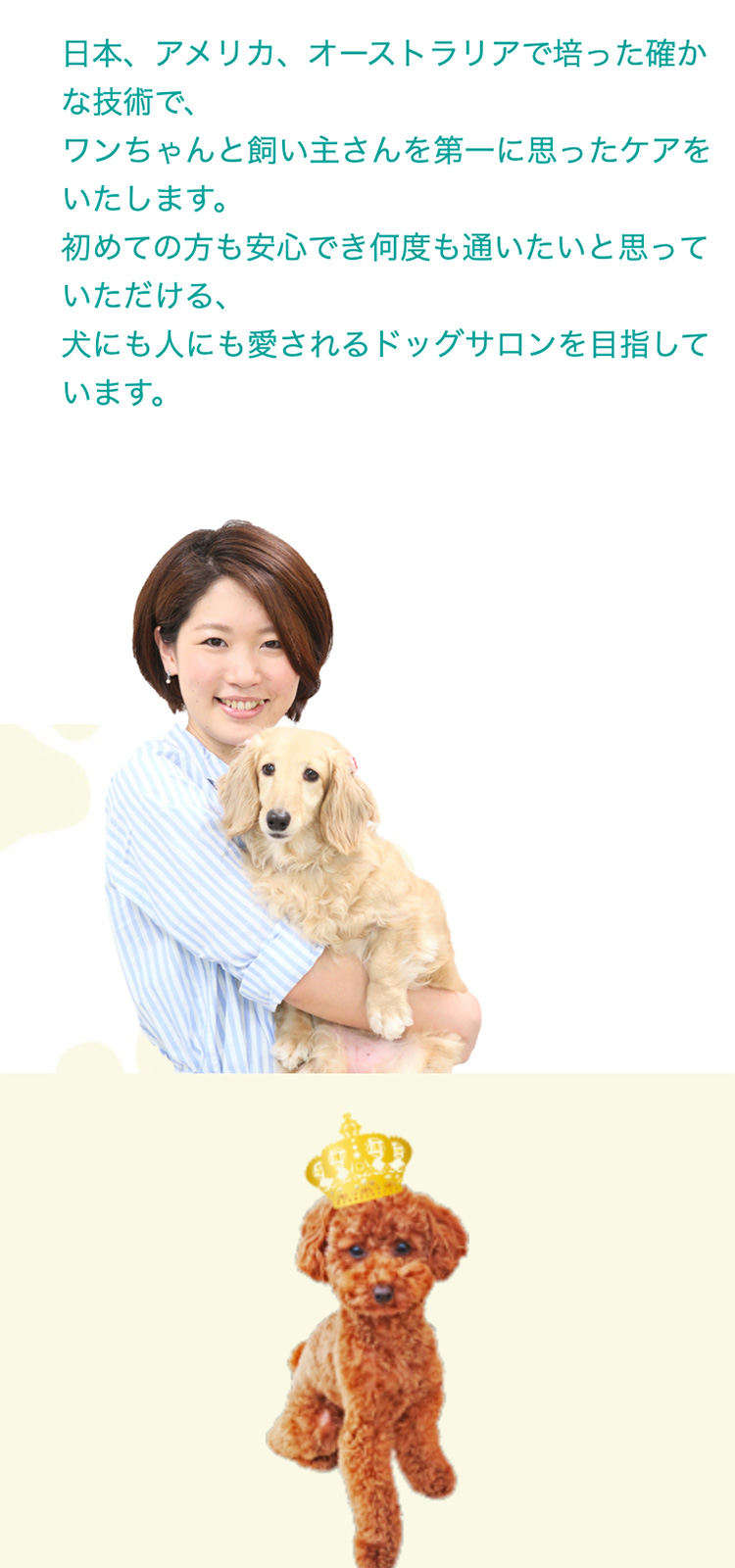 ドッグサロンジュピター様 店舗サイト